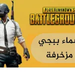 اسماء ببجي مزخرفه